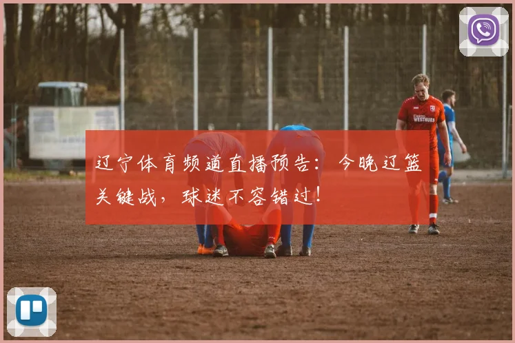 辽宁体育频道直播预告：今晚辽篮关键战，球迷不容错过！