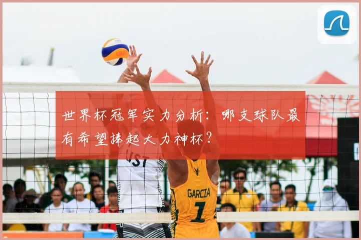 世界杯冠军实力分析:哪支球队最有希望捧起大力神杯?
