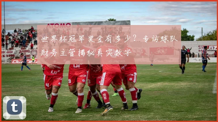 世界杯冠军奖金有多少？专访球队财务主管揭秘真实数字