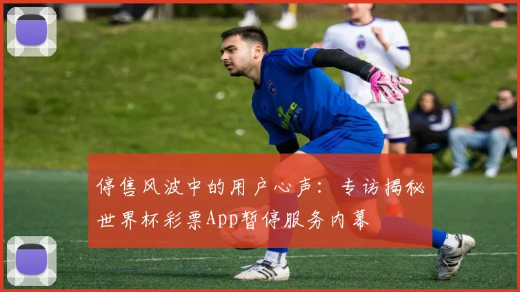 停售风波中的用户心声:专访揭秘世界杯彩票App暂停服务内幕