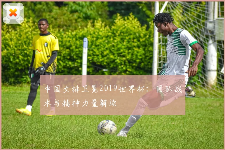 中国女排卫冕2019世界杯：团队战术与精神力量解读