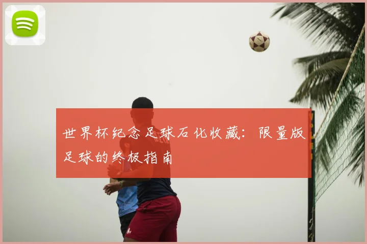 世界杯纪念足球石化收藏：限量版足球的终极指南