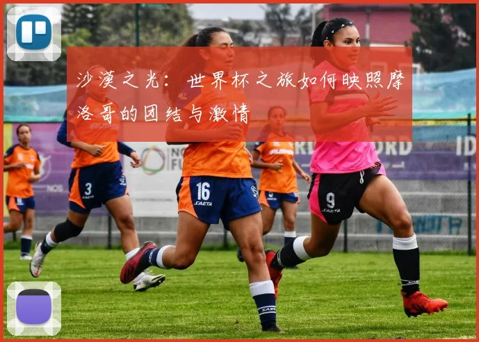 沙漠之光:世界杯之旅如何映照摩洛哥的团结与激情
