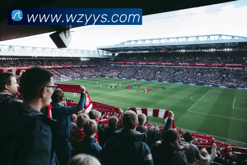 mk官网平台生态图